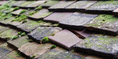 Madeley roof repair costs